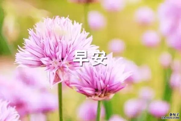 12条早安正能量语录，为你补满元气