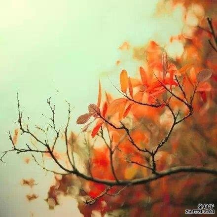 三观超正的温柔句子