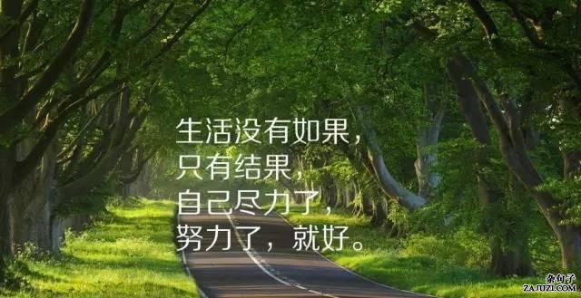 激励上进正能量句子