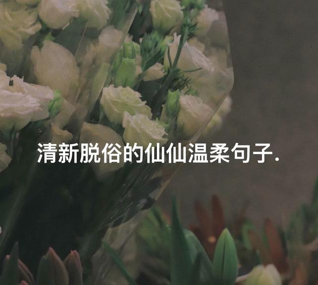 仙气十足的句子大全