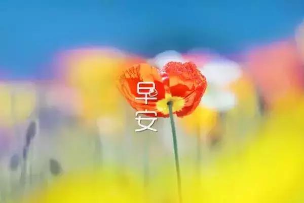 2023最美早安问候短语（精选50条）