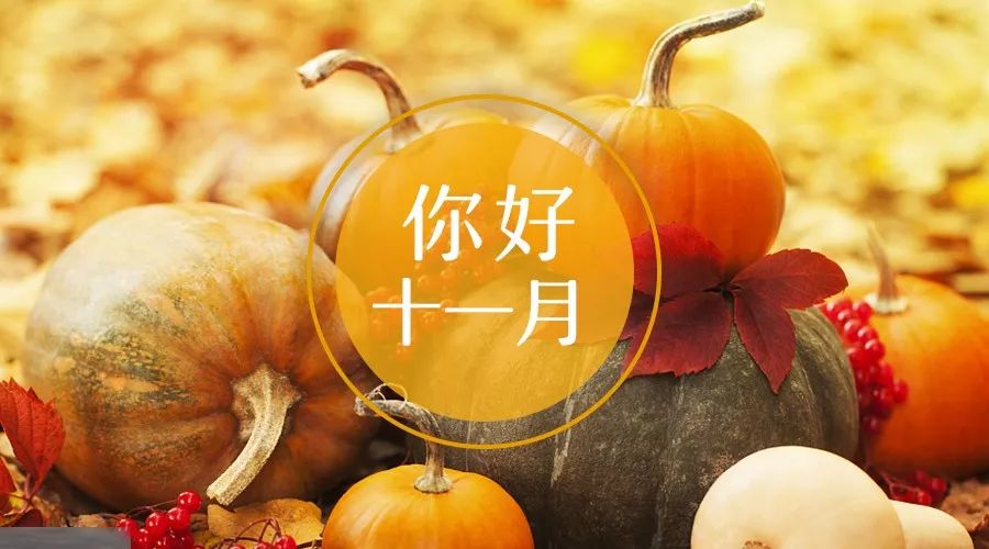 唯美十一月的简短句子
