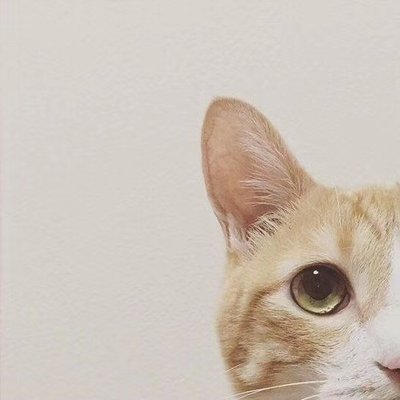 温柔干净无关爱情的长句