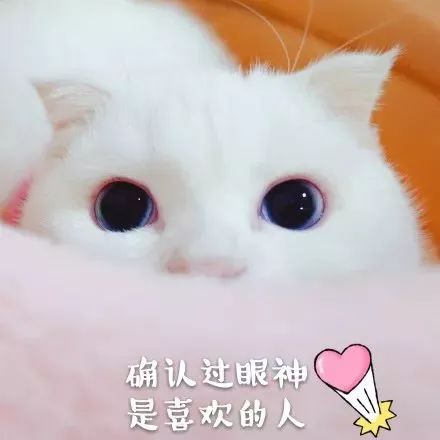 土味情话套路一问一答