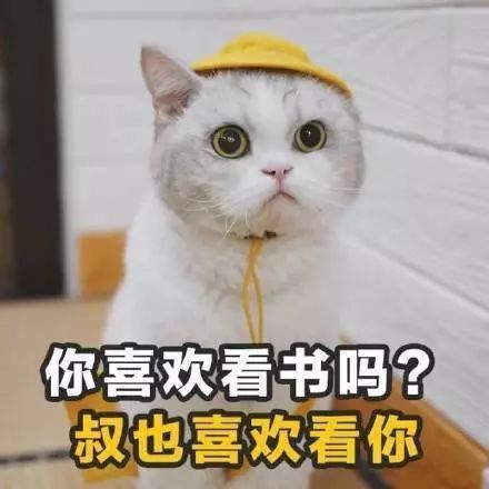 土味情话套路一问一答