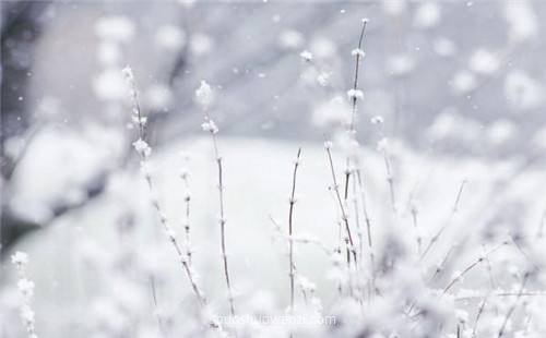 抖音下雪超级火的句子
