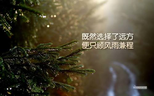 不负韶华的励志句子八字