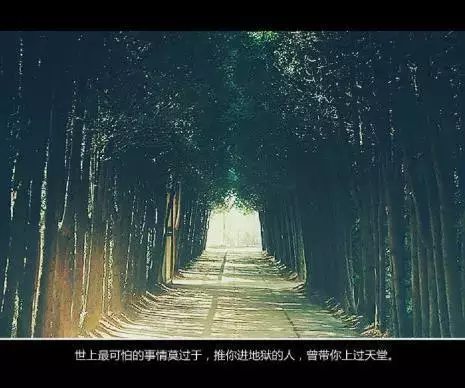 十句抖音上最火的签名句子