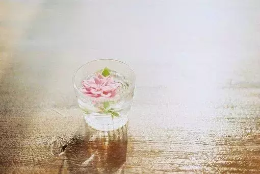 人生感悟的句子简短的