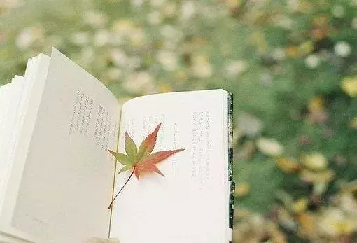 人生感悟的句子简短的