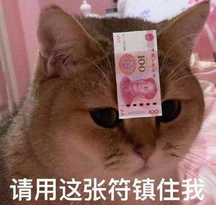 一本正经的沙雕文案
