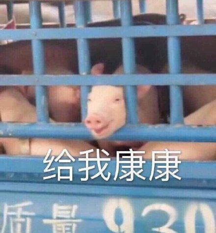 抖音沙雕文案