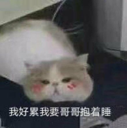 抖音沙雕幽默句子
