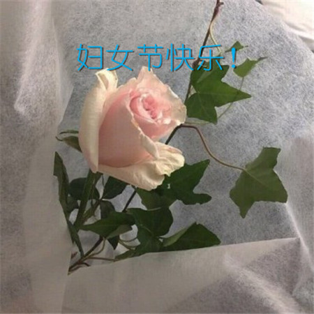 三八妇女节祝福的话