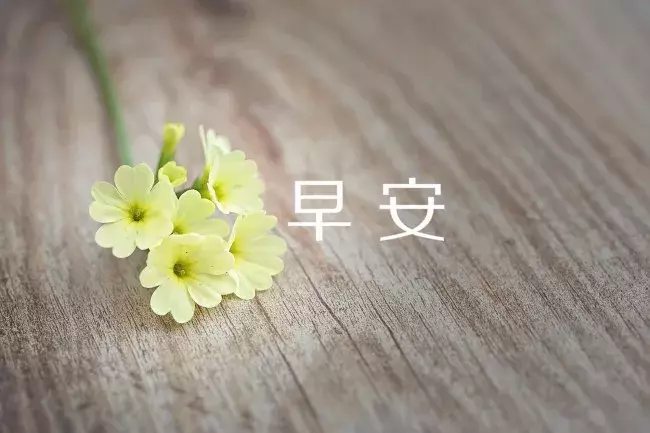 特别暖的早安 早安最短精句
