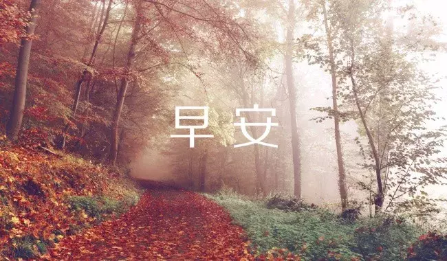 特别暖的早安 早安最短精句