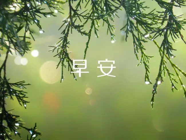 特别暖的早安 早安最短精句