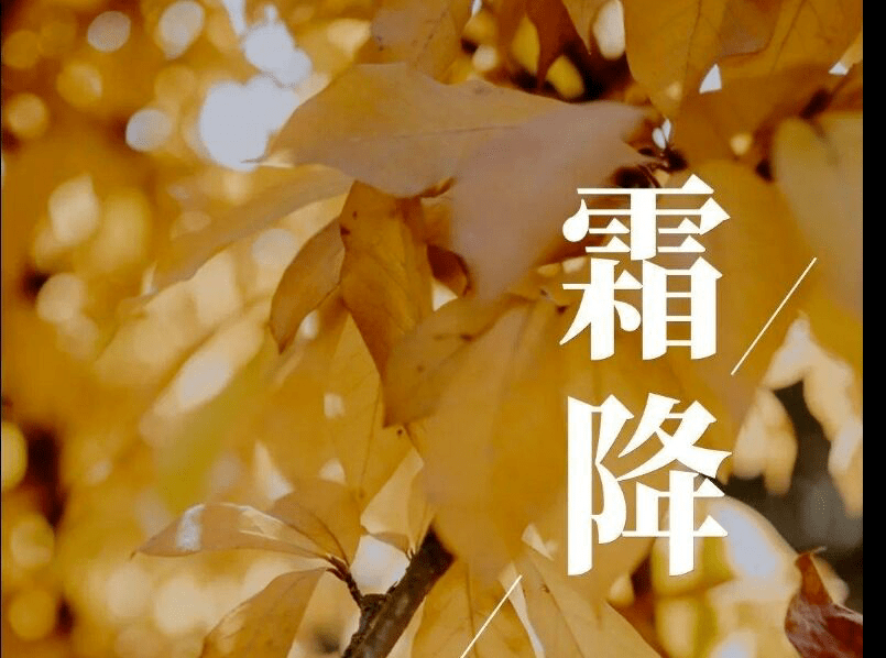 霜降节气最经典诗句，霜降古诗词经典