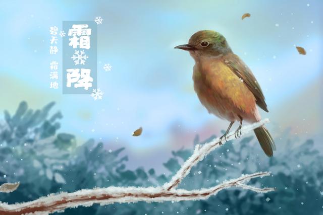 霜降的句子短句唯美（最佳50句）