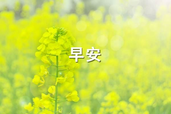 清晨寄语每日一发（一天一句暖心早安）
