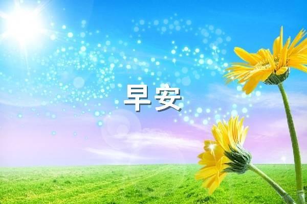 通用适合早上发的早安问候语42句