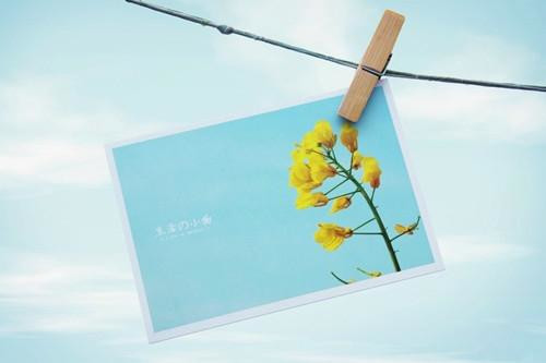 治愈自己的文案（精选50句）