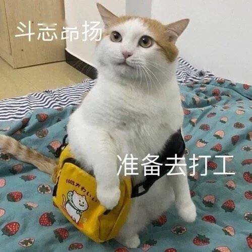 一本正经的沙雕文案（优秀59句）
