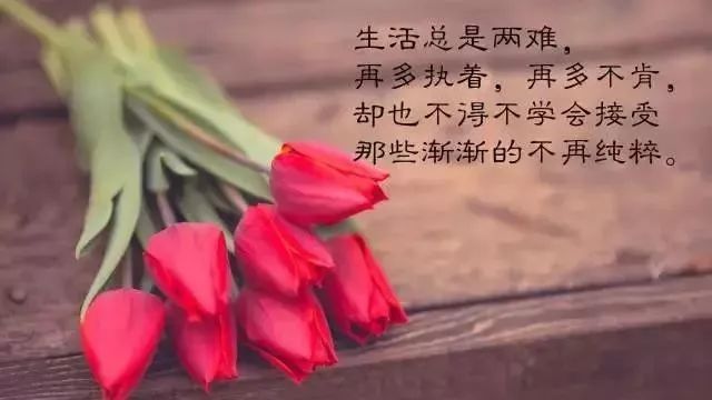 对自己感到失望的短句（精选65句）