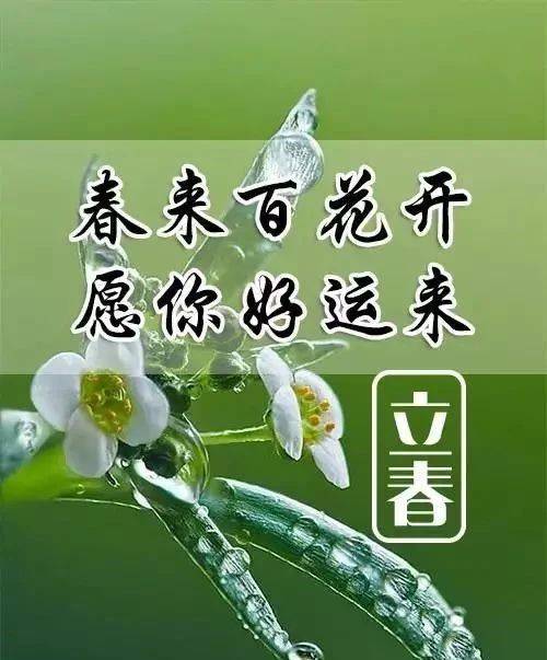 立春的优美文案（精选48句）